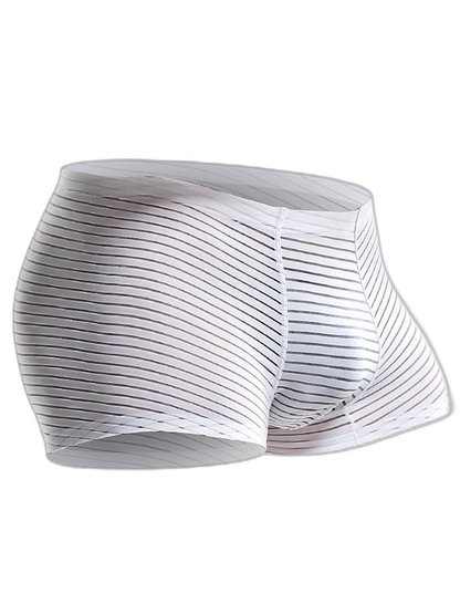 2 Pack Silk Striped Men's Super Thin Underwear