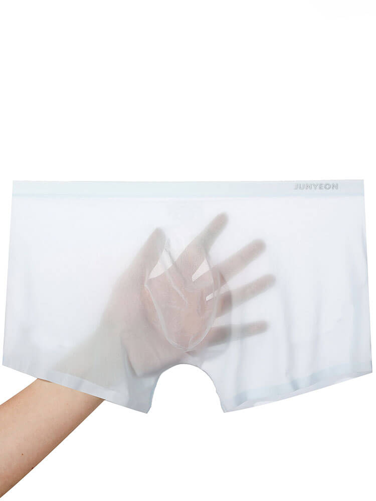 Men's Sexy Sheer Ultra-Thin Ice Silk Boxer Briefs