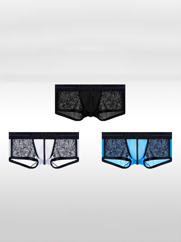Men's Ice Silk Lace Sexy Sheer Ultra-Thin Trunks