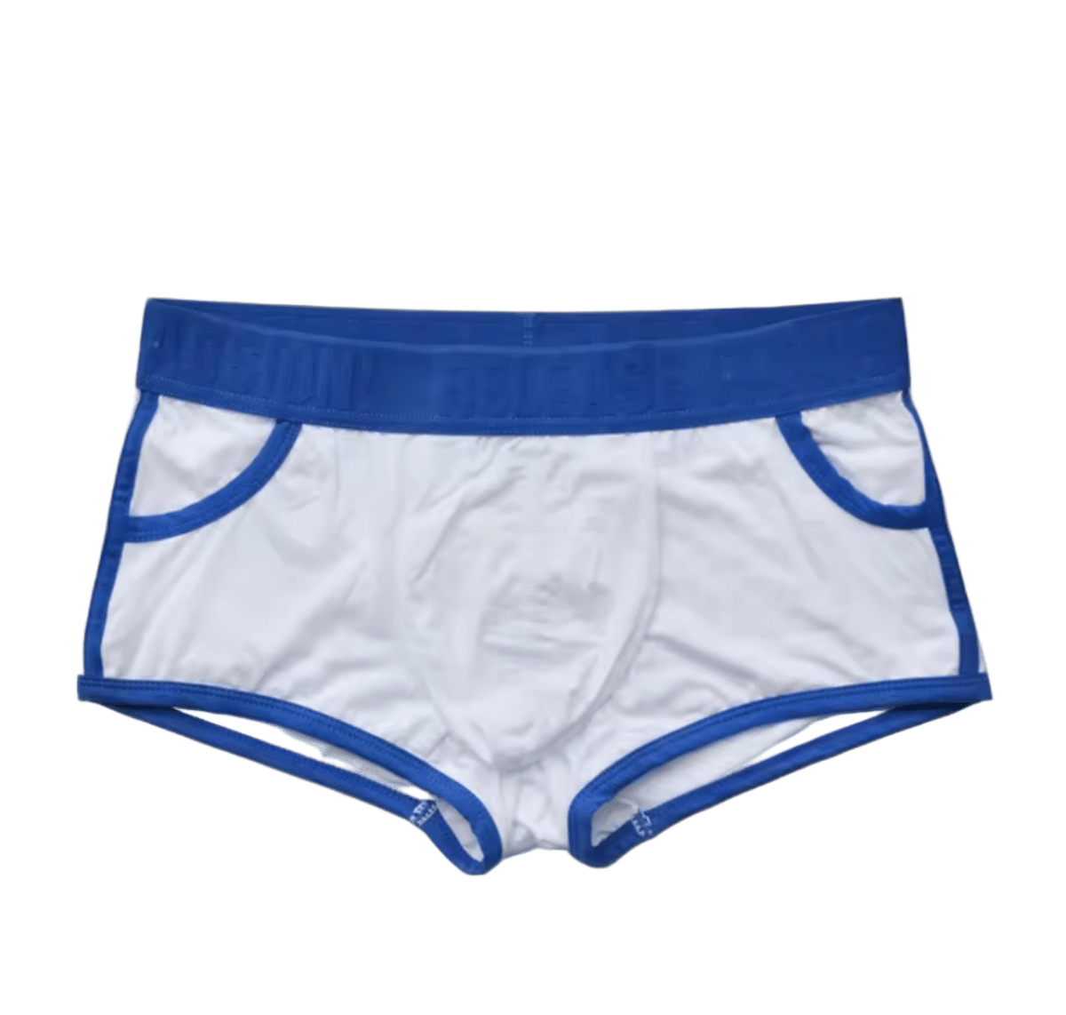 Dog & Master Porn Start Boxer Briefs Blue