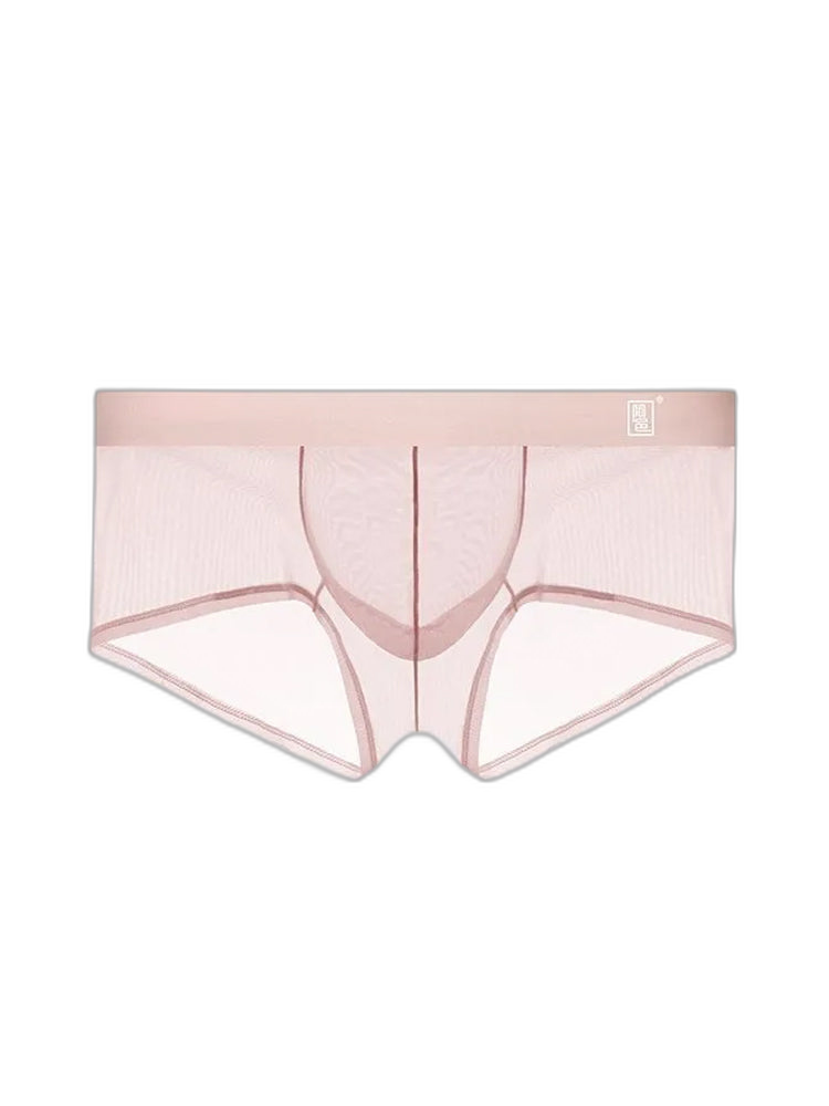 Men's Ultra-thin Low-Rise See-Through Ice Silk Briefs