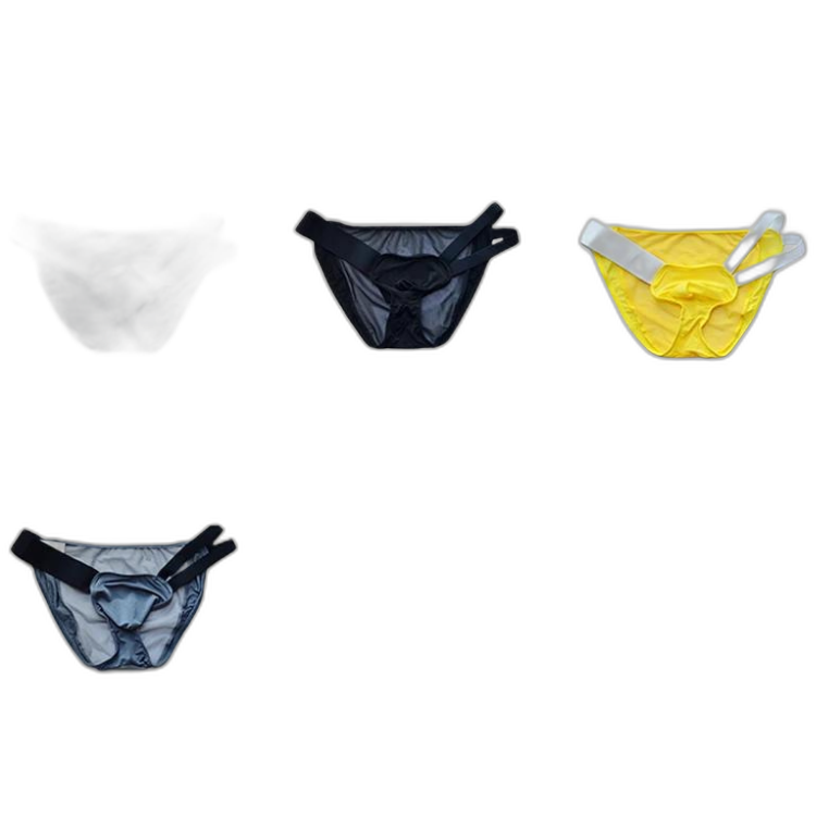 D.M Nylon Low Waist Sexy Mesh Erotic Briefs