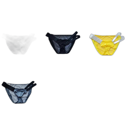 D.M Nylon Low Waist Sexy Mesh Erotic Briefs