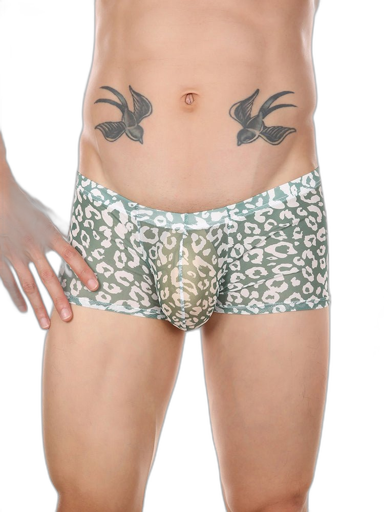 4 Pack Leopard Print See-through Mesh Trunks