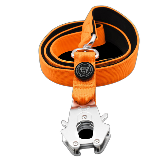 Tactical Frog Clip Lead Orange