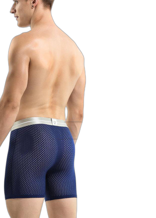 Men's Athletic Mesh Breathable Underwear
