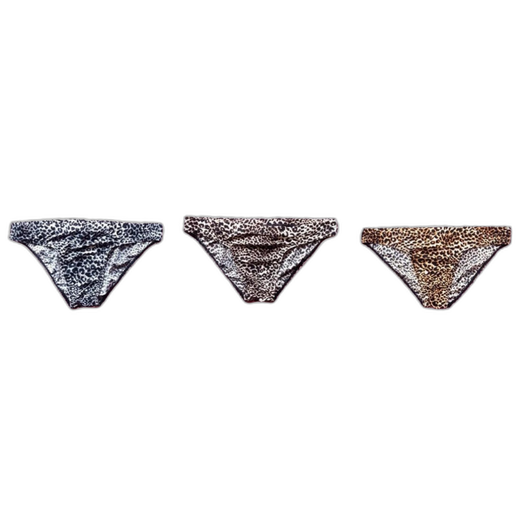 Wild Thoughts Fierce Leopard Men’s Briefs