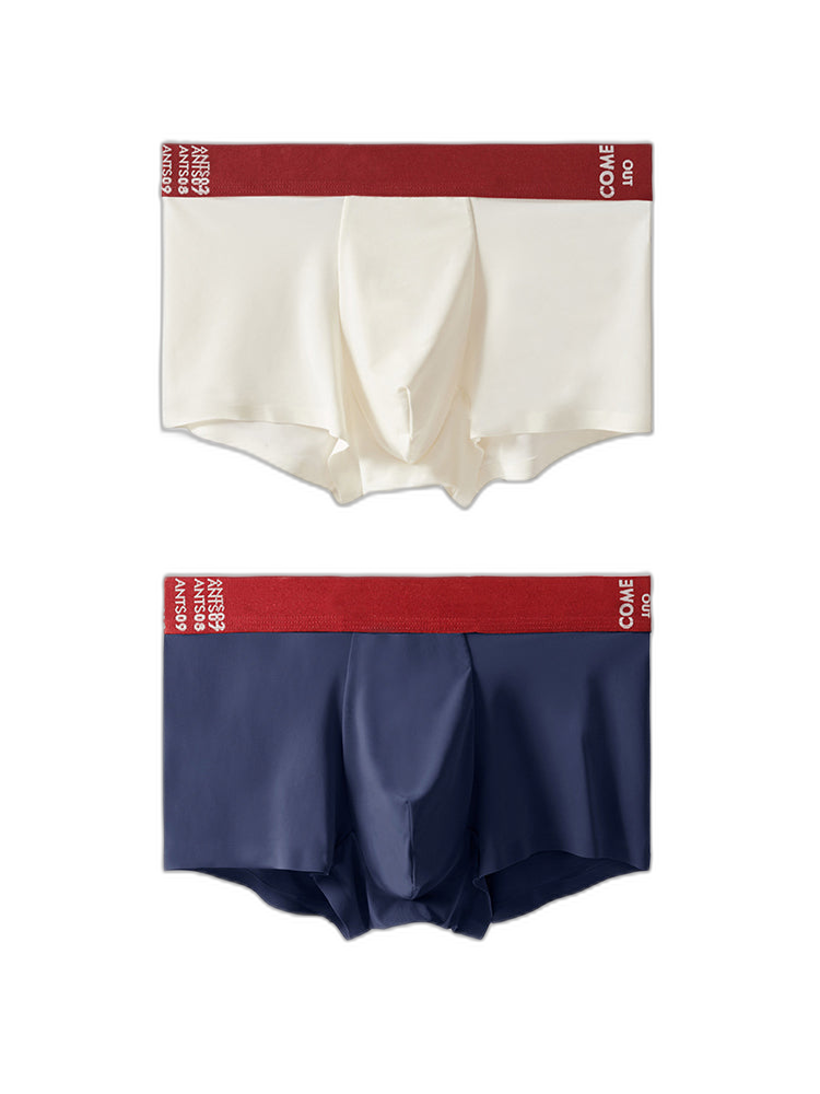 2 Pack Men's Premium Ultra-Thin Seamless Ice Silk Stretch Fit Trunks