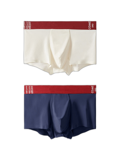 2 Pack Men's Premium Ultra-Thin Seamless Ice Silk Stretch Fit Trunks