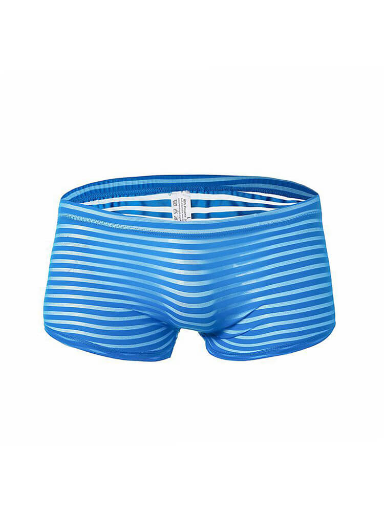 Men's Striped Mesh See-Through Boxer Briefs