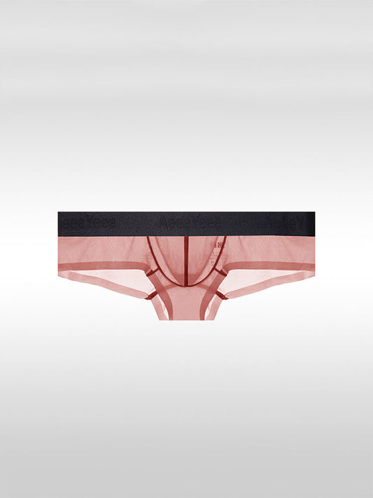 Men's Sexy Low-Rise Stretch Sheer Ice Silk Boxer Briefs
