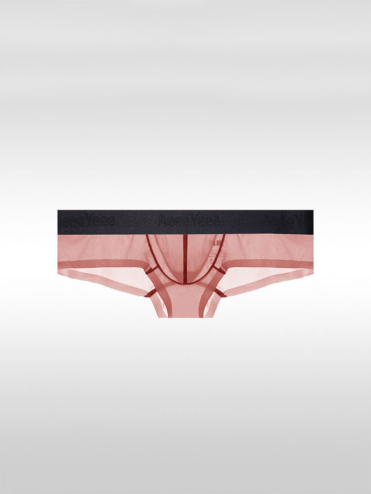 Men's Sexy Low-Rise Stretch Sheer Ice Silk Boxer Briefs