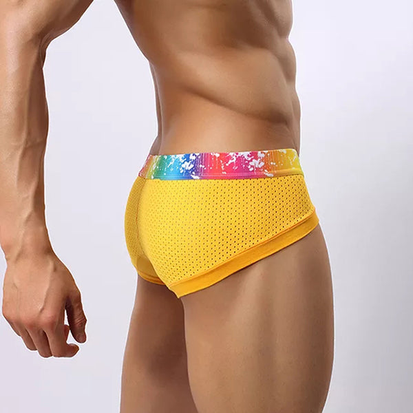 4 Pack Breathable Modal Colored Belt Briefs-rainbow pride underwear