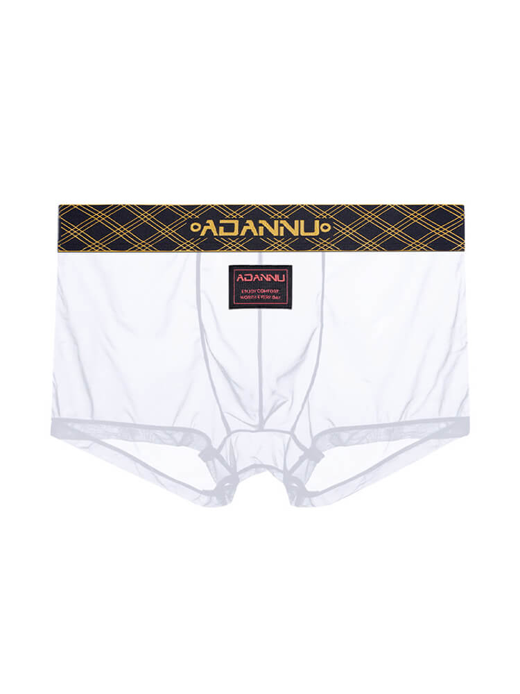 Men's Embroidered Sexy Sheer Sports Thin Boxer Briefs