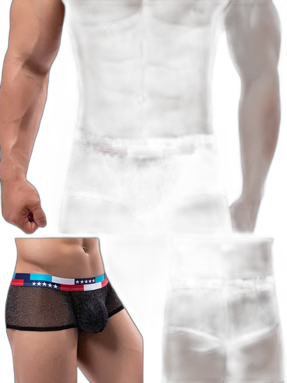 4-pack Low-rise Micro-mesh Boxer Briefs