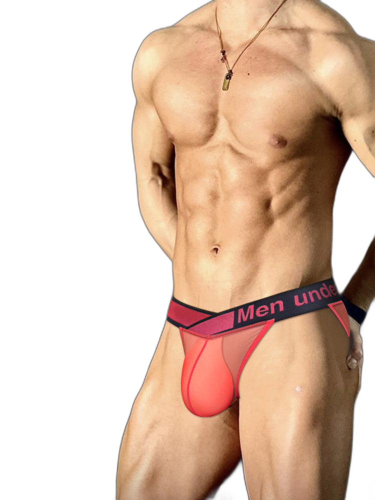 2 Pack Men's Large Pouch Semi-Transparent Sexy Bikini