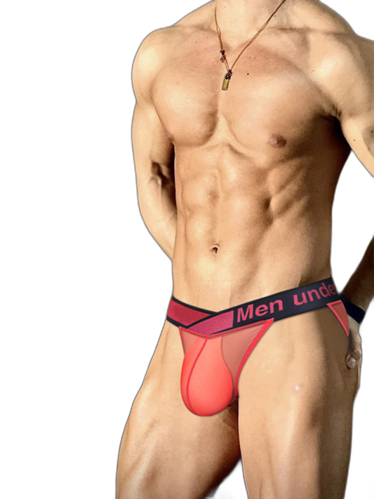 2 Pack Men's Large Pouch Semi-Transparent Sexy Bikini