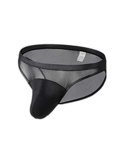 2 Pack Men's Seductive Mesh Sheer Briefs