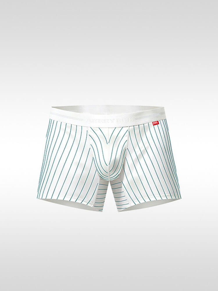 Men's Sexy Pinstriped Thin Bodysuit and Briefs