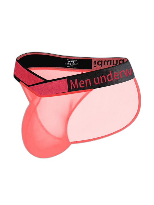 2 Pack Men's Large Pouch Semi-Transparent Sexy Bikini