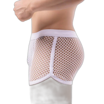 AllureFit Sexy Mesh Boxers Briefs