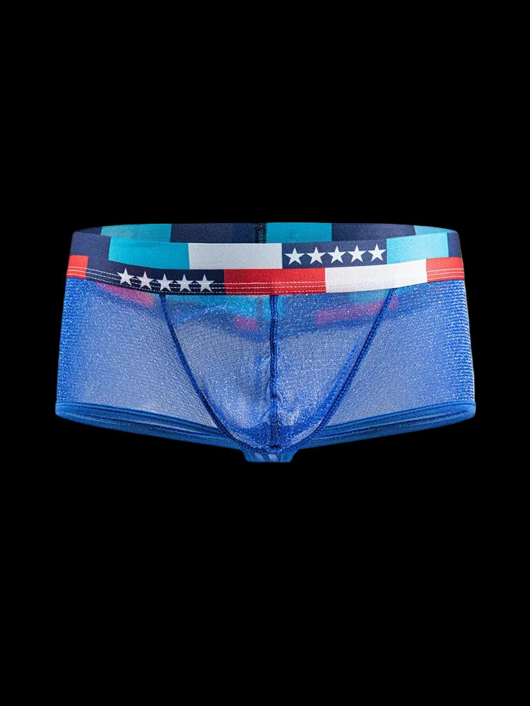 4 - pack Men's Low - rise See - through Micro - mesh Pouch Shiny U - convex Wide - edge Boxer Briefs - The Pup Play Hub