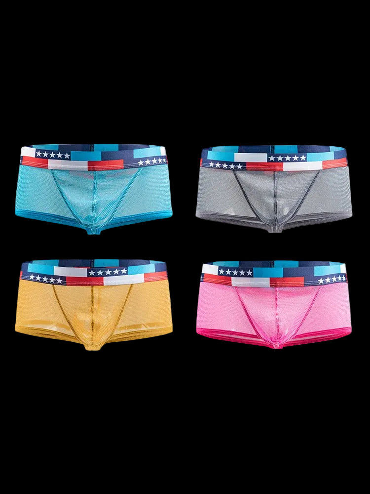 4 - pack Men's Low - rise See - through Micro - mesh Pouch Shiny U - convex Wide - edge Boxer Briefs - The Pup Play Hub