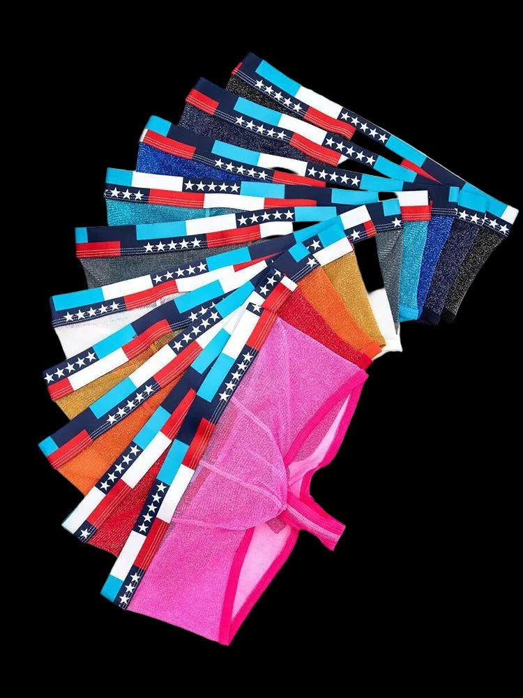 4 - pack Men's Low - rise See - through Micro - mesh Pouch Shiny U - convex Wide - edge Boxer Briefs - The Pup Play Hub