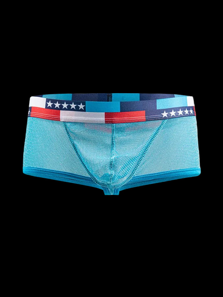 4 - pack Men's Low - rise See - through Micro - mesh Pouch Shiny U - convex Wide - edge Boxer Briefs - The Pup Play Hub