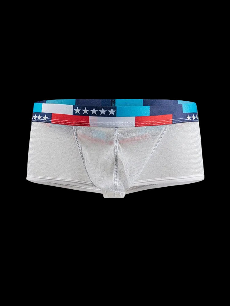 4 - pack Men's Low - rise See - through Micro - mesh Pouch Shiny U - convex Wide - edge Boxer Briefs - The Pup Play Hub