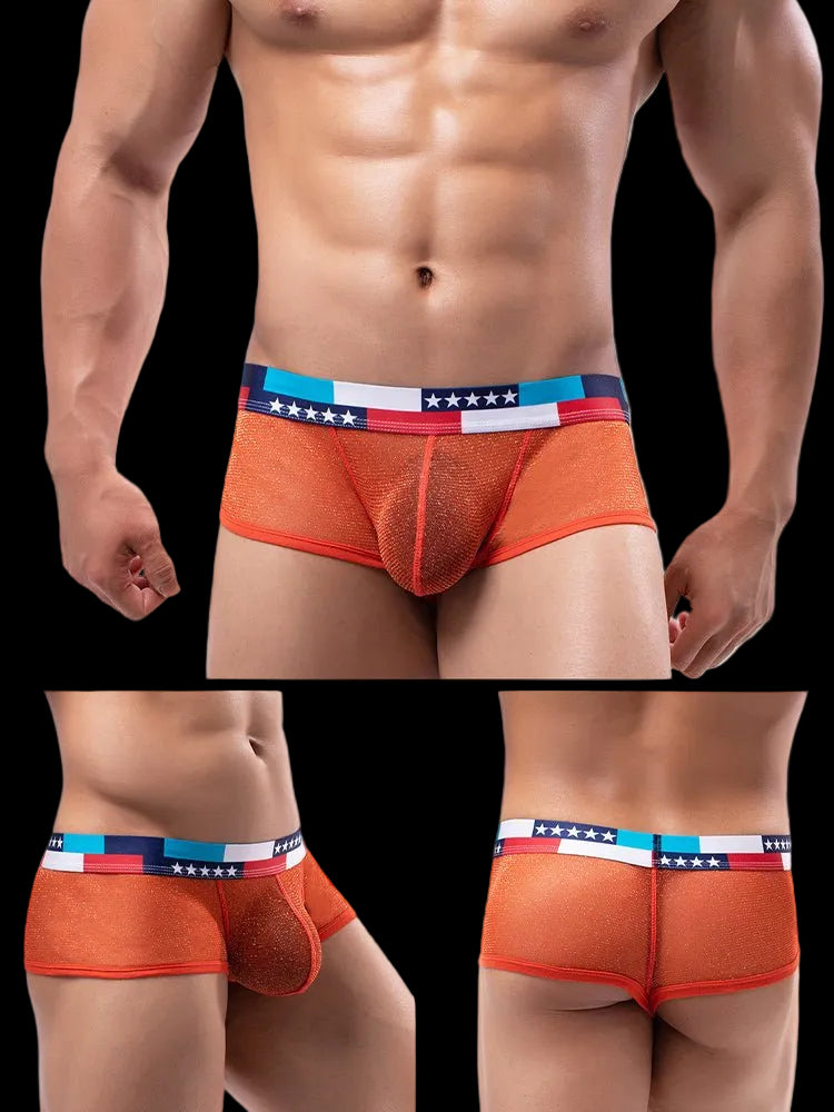 4 - pack Men's Low - rise See - through Micro - mesh Pouch Shiny U - convex Wide - edge Boxer Briefs - The Pup Play Hub