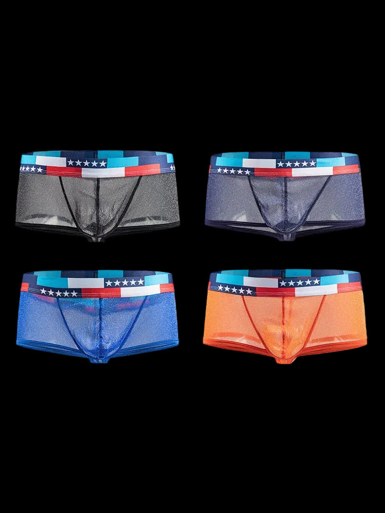 4 - pack Men's Low - rise See - through Micro - mesh Pouch Shiny U - convex Wide - edge Boxer Briefs - The Pup Play Hub