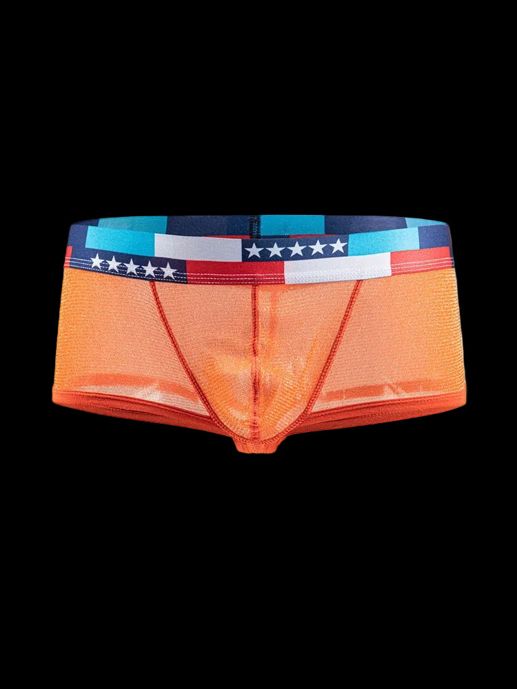 4 - pack Men's Low - rise See - through Micro - mesh Pouch Shiny U - convex Wide - edge Boxer Briefs - The Pup Play Hub