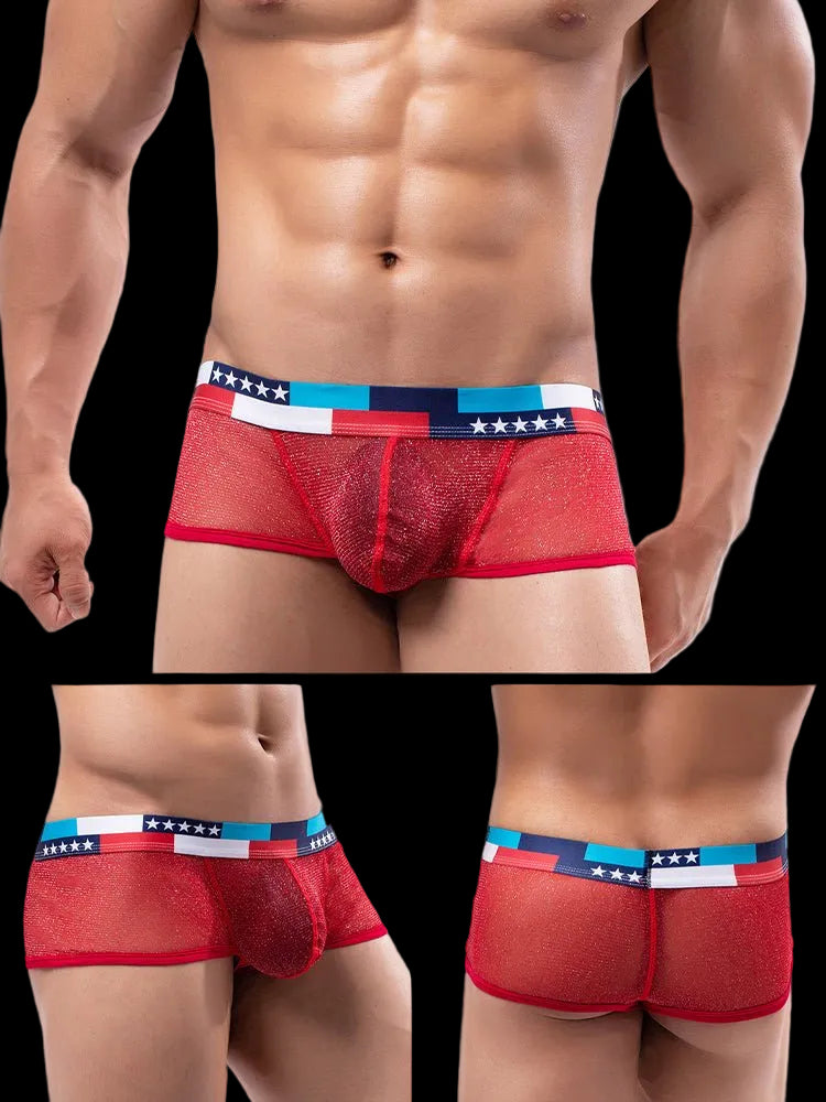 4 - pack Men's Low - rise See - through Micro - mesh Pouch Shiny U - convex Wide - edge Boxer Briefs - The Pup Play Hub