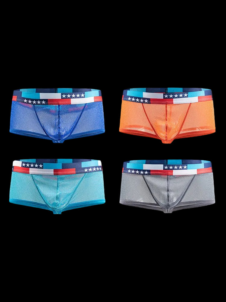 4 - pack Men's Low - rise See - through Micro - mesh Pouch Shiny U - convex Wide - edge Boxer Briefs - The Pup Play Hub