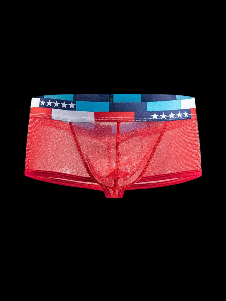 4 - pack Men's Low - rise See - through Micro - mesh Pouch Shiny U - convex Wide - edge Boxer Briefs - The Pup Play Hub