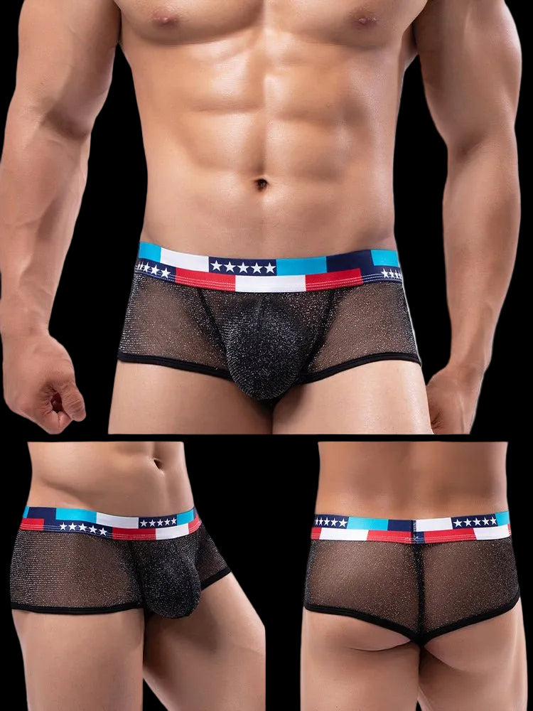 4 - pack Men's Low - rise See - through Micro - mesh Pouch Shiny U - convex Wide - edge Boxer Briefs - The Pup Play Hub
