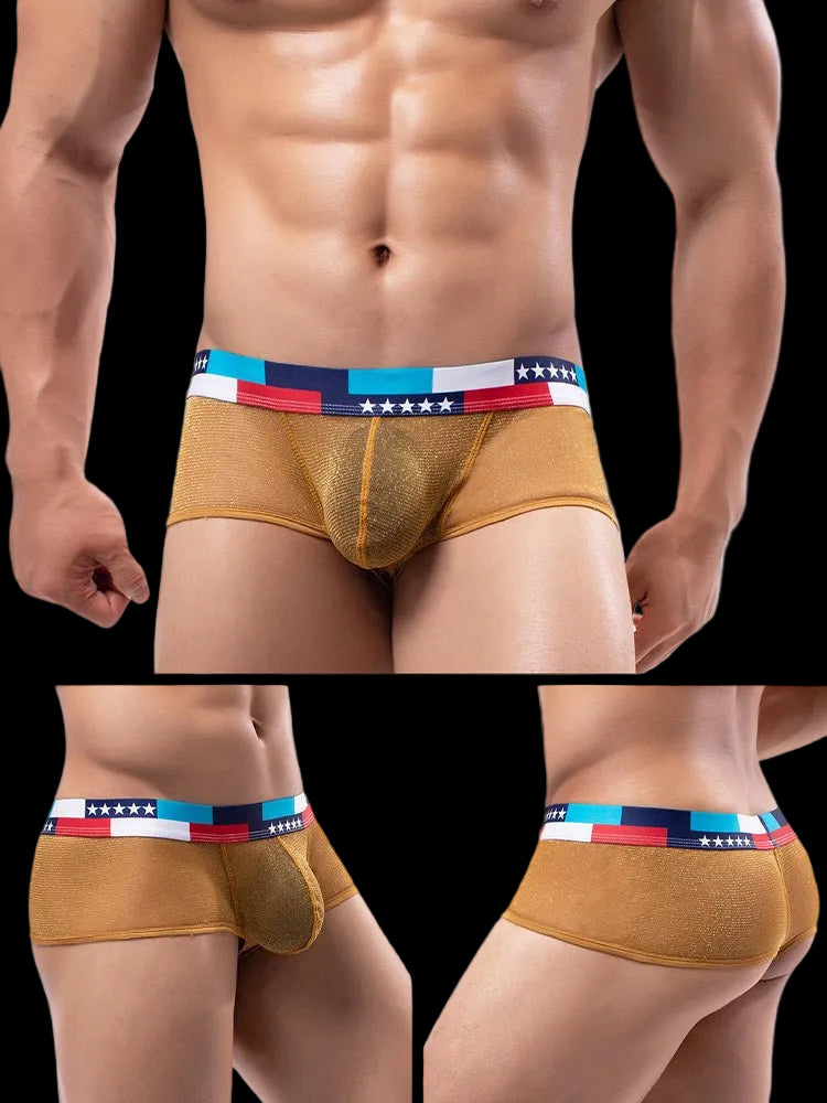 4 - pack Men's Low - rise See - through Micro - mesh Pouch Shiny U - convex Wide - edge Boxer Briefs - The Pup Play Hub