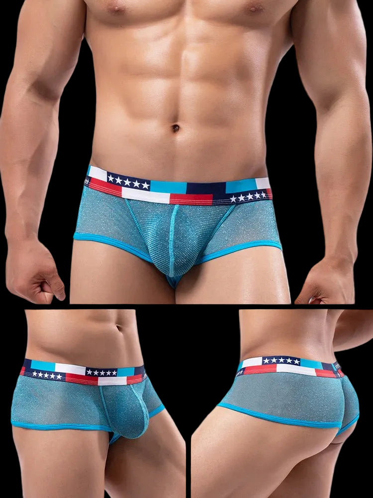 4 - pack Men's Low - rise See - through Micro - mesh Pouch Shiny U - convex Wide - edge Boxer Briefs - The Pup Play Hub