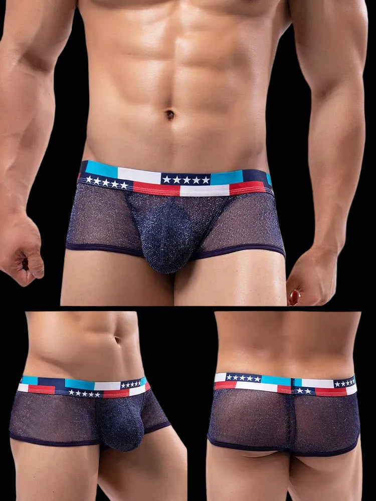 4 - pack Men's Low - rise See - through Micro - mesh Pouch Shiny U - convex Wide - edge Boxer Briefs - The Pup Play Hub