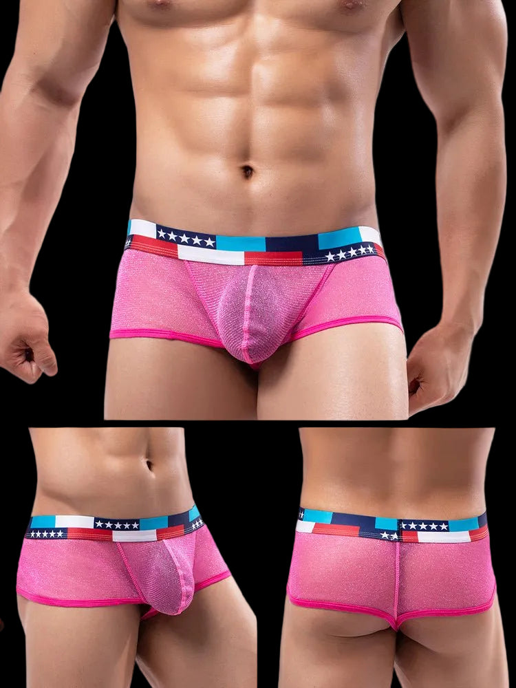 4 - pack Men's Low - rise See - through Micro - mesh Pouch Shiny U - convex Wide - edge Boxer Briefs - The Pup Play Hub