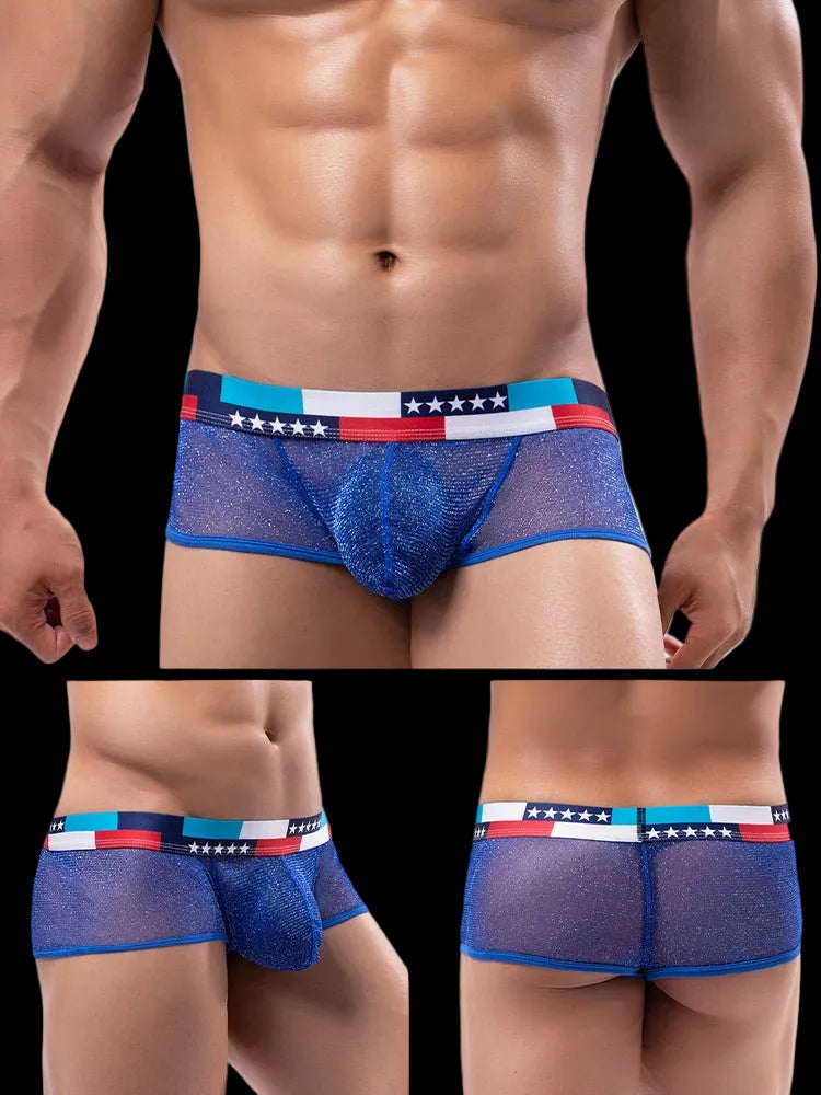 4 - pack Men's Low - rise See - through Micro - mesh Pouch Shiny U - convex Wide - edge Boxer Briefs - The Pup Play Hub