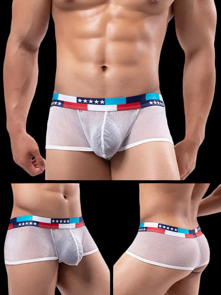 4 - pack Men's Low - rise See - through Micro - mesh Pouch Shiny U - convex Wide - edge Boxer Briefs - The Pup Play Hub