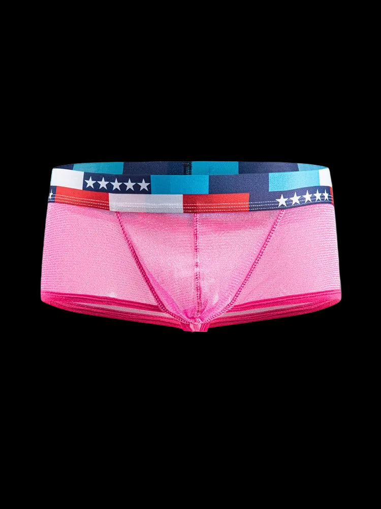 4 - pack Men's Low - rise See - through Micro - mesh Pouch Shiny U - convex Wide - edge Boxer Briefs - The Pup Play Hub