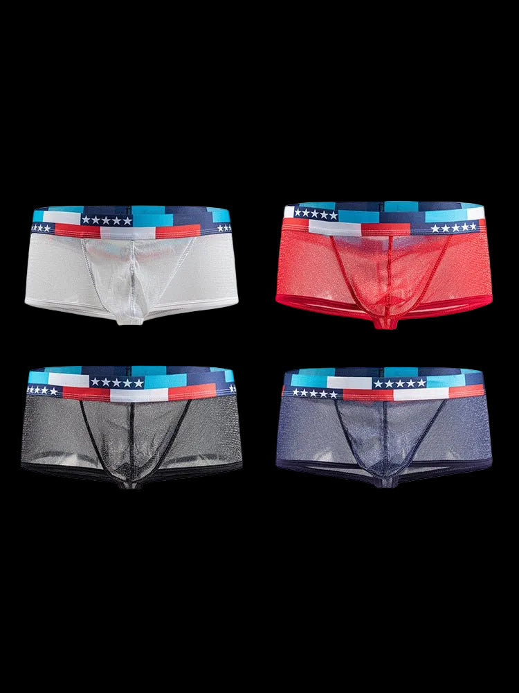 4 - pack Men's Low - rise See - through Micro - mesh Pouch Shiny U - convex Wide - edge Boxer Briefs - The Pup Play Hub