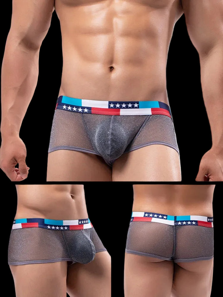 4 - pack Men's Low - rise See - through Micro - mesh Pouch Shiny U - convex Wide - edge Boxer Briefs - The Pup Play Hub