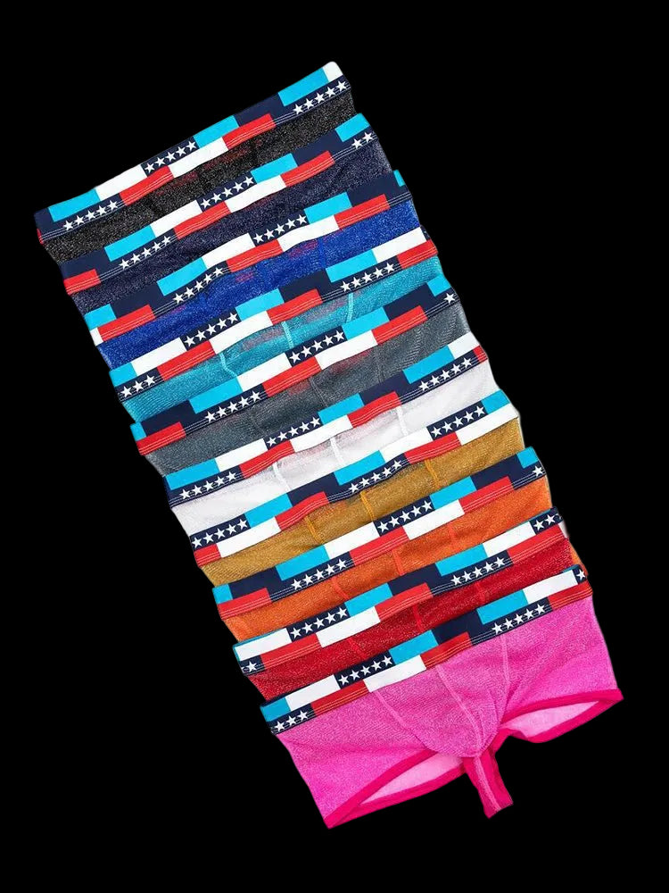 4 - pack Men's Low - rise See - through Micro - mesh Pouch Shiny U - convex Wide - edge Boxer Briefs - The Pup Play Hub