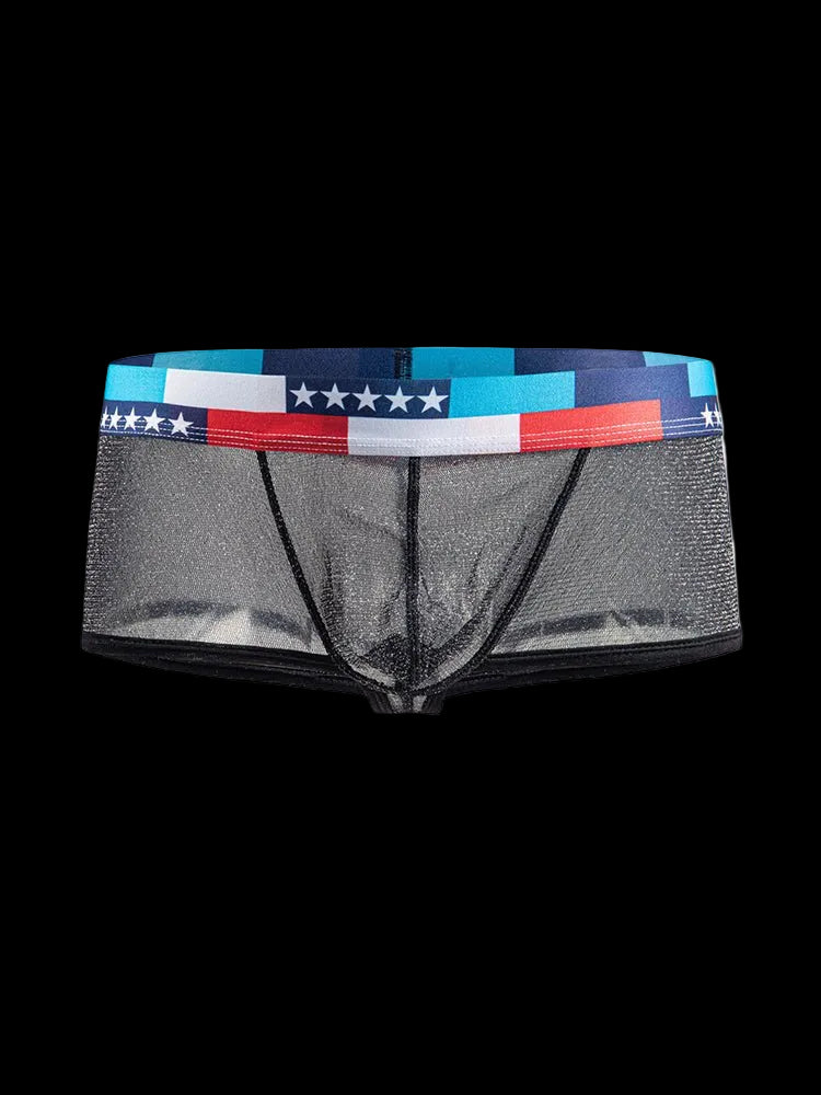 4 - pack Men's Low - rise See - through Micro - mesh Pouch Shiny U - convex Wide - edge Boxer Briefs - The Pup Play Hub