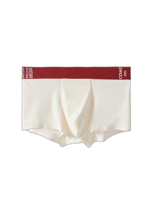 2 Pack Men's Premium Ultra-Thin Seamless Ice Silk Stretch Fit Trunks