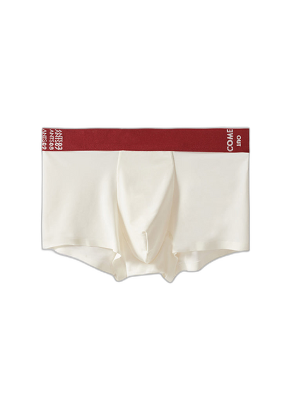 2 Pack Men's Premium Ultra-Thin Seamless Ice Silk Stretch Fit Trunks